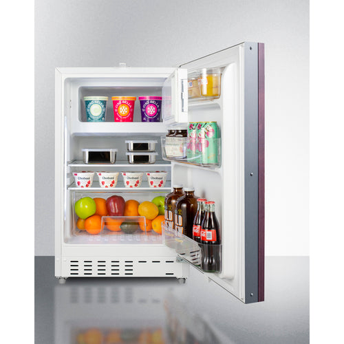 Summit 21" Wide Built-in Refrigerator-Freezer, ADA Compliant (Panel Not Included) ALRF48IF