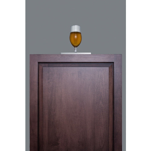 Summit 24" Wide Built-In Kegerator, ADA Compliant (Panel Not Included) SBC58BLBIADANKIF