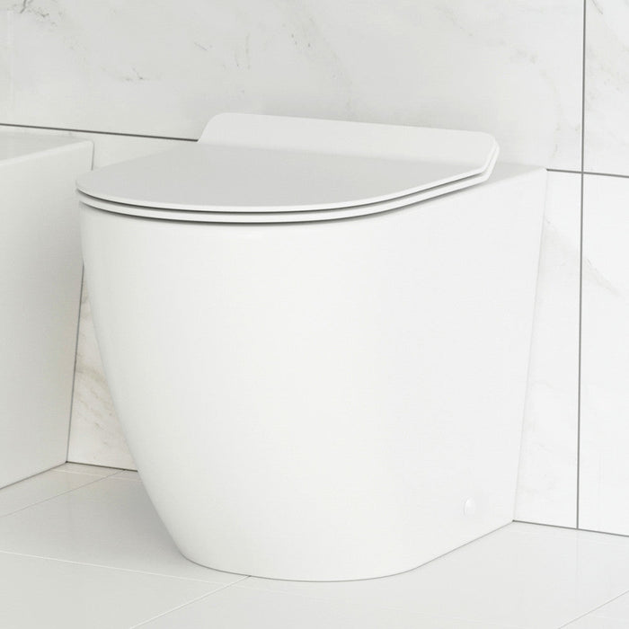 Swiss Madison St. Tropez Back-to-Wall Elongated Toilet Bowl