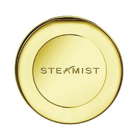 Steamist 3199R 3199-PG