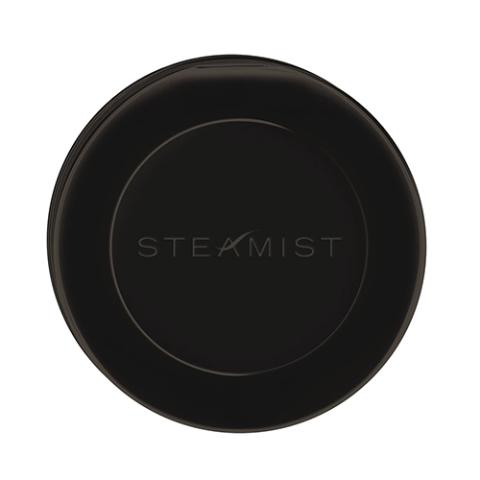 Steamist 3199R 3199-PG